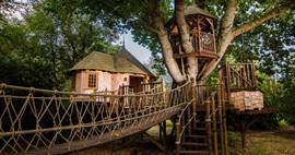 Tree House-uu890