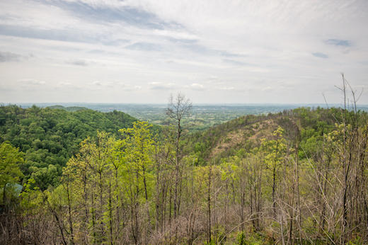 God's Country | Photo 785