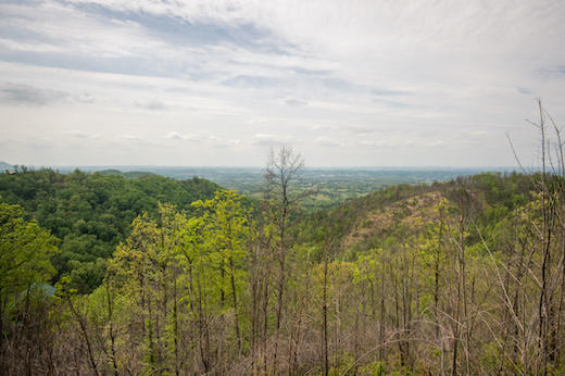 God's Country | Photo 420