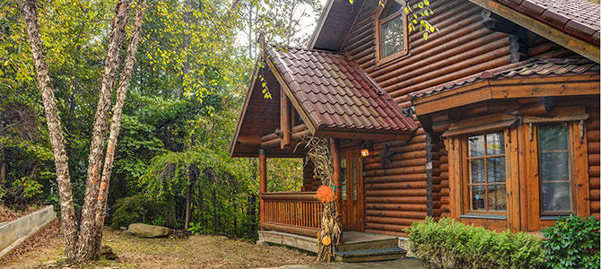 Turkey Creek Lodge | Photo 41