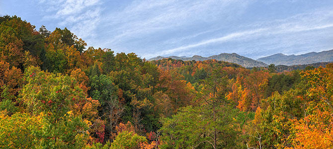 American Spirit | Photo 39