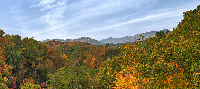 American Spirit | Photo 41