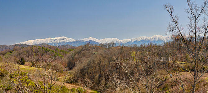 Mountain View Condo 5506 | Photo 39