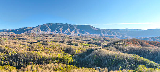 Amazing View Lodge | Photo 1190