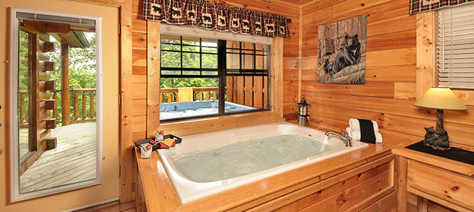 Bear Cub Den | Photo 20