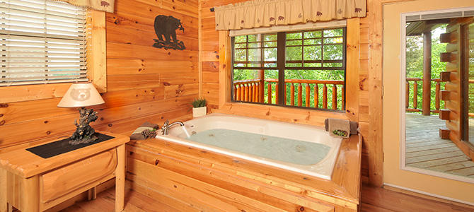 Bear Cub Den | Photo 60