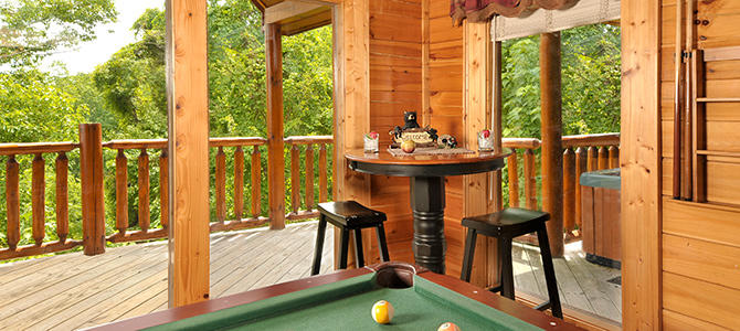 Bear Cub Den | Photo 90