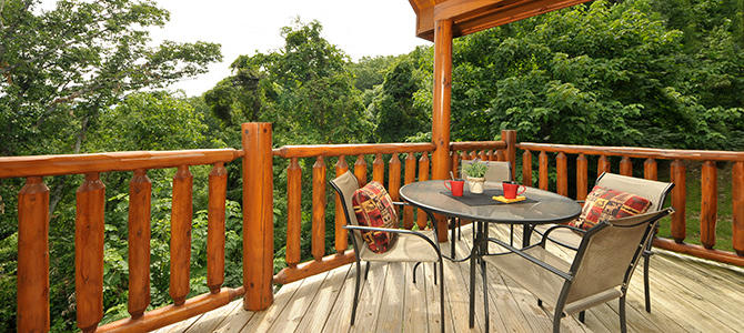 Bear Cub Den | Photo 110