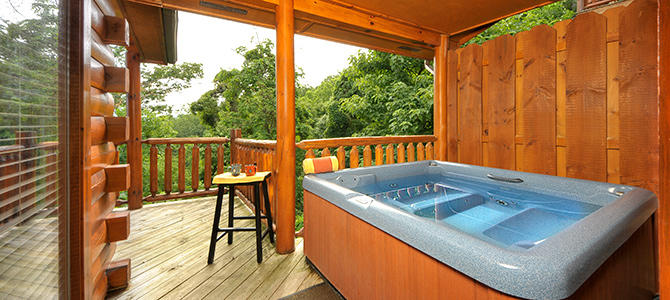 Bear Cub Den | Photo 140