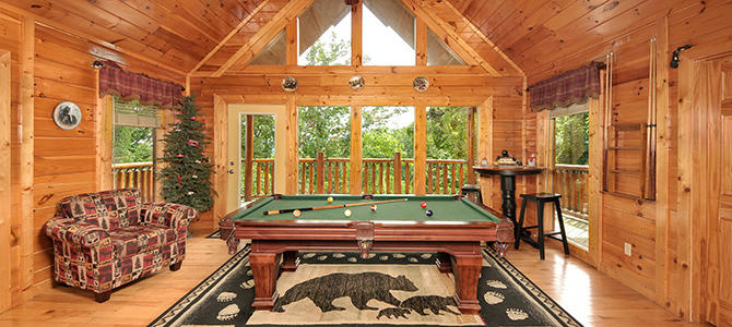 Bear Cub Den | Photo 180