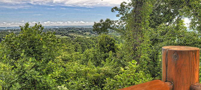 Bear Cub Den | Photo 200