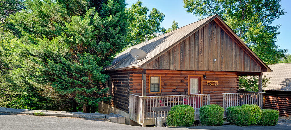 Honey Bear Den | Photo 60