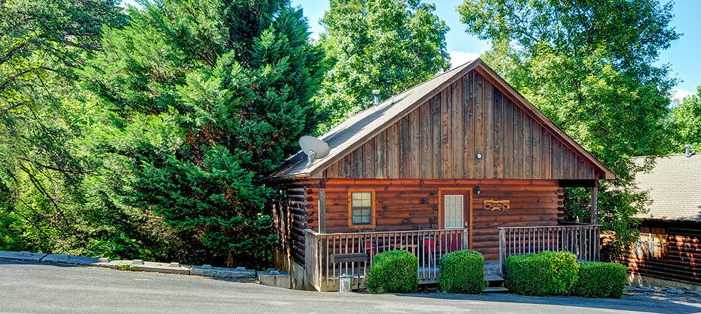 Honey Bear Den | Photo 70