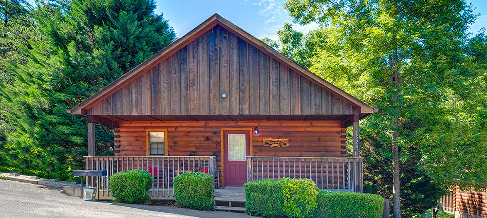 Honey Bear Den | Photo 80