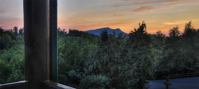 View from The Cedars