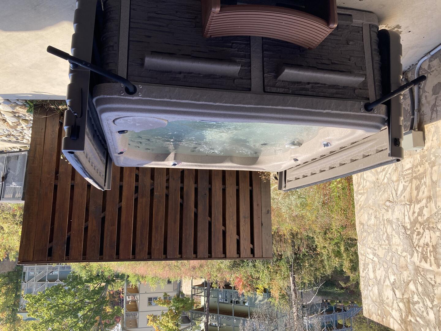 Bear Paws Up | Photo 24