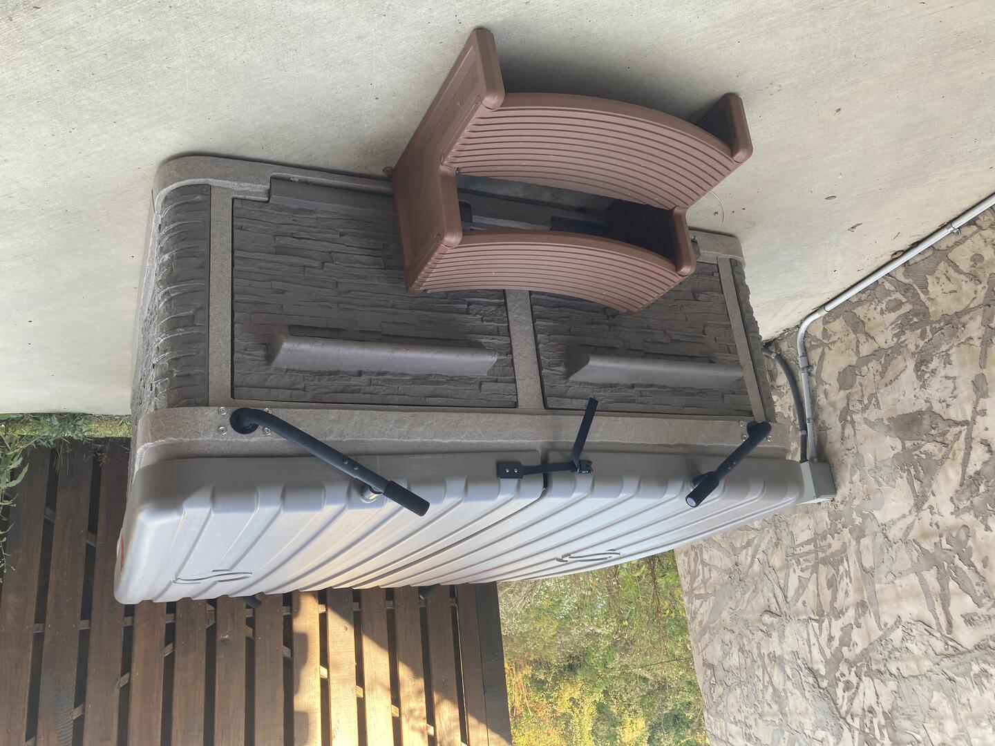 Bear Paws Up | Photo 23