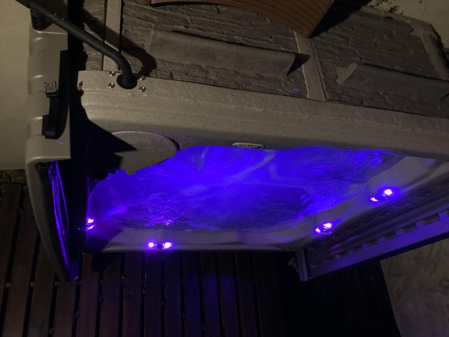 Bear Paws Up | Photo 25