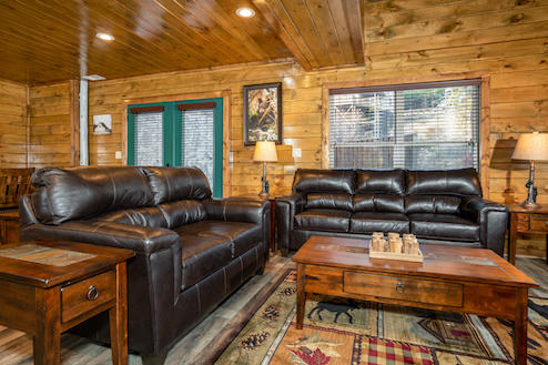 Bear Paws Up | Photo 7