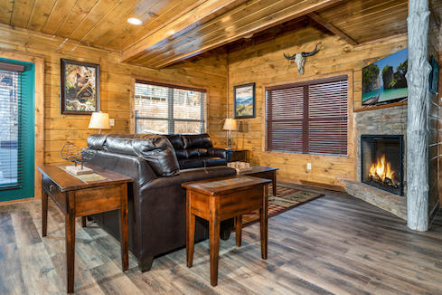 Bear Paws Up | Photo 8