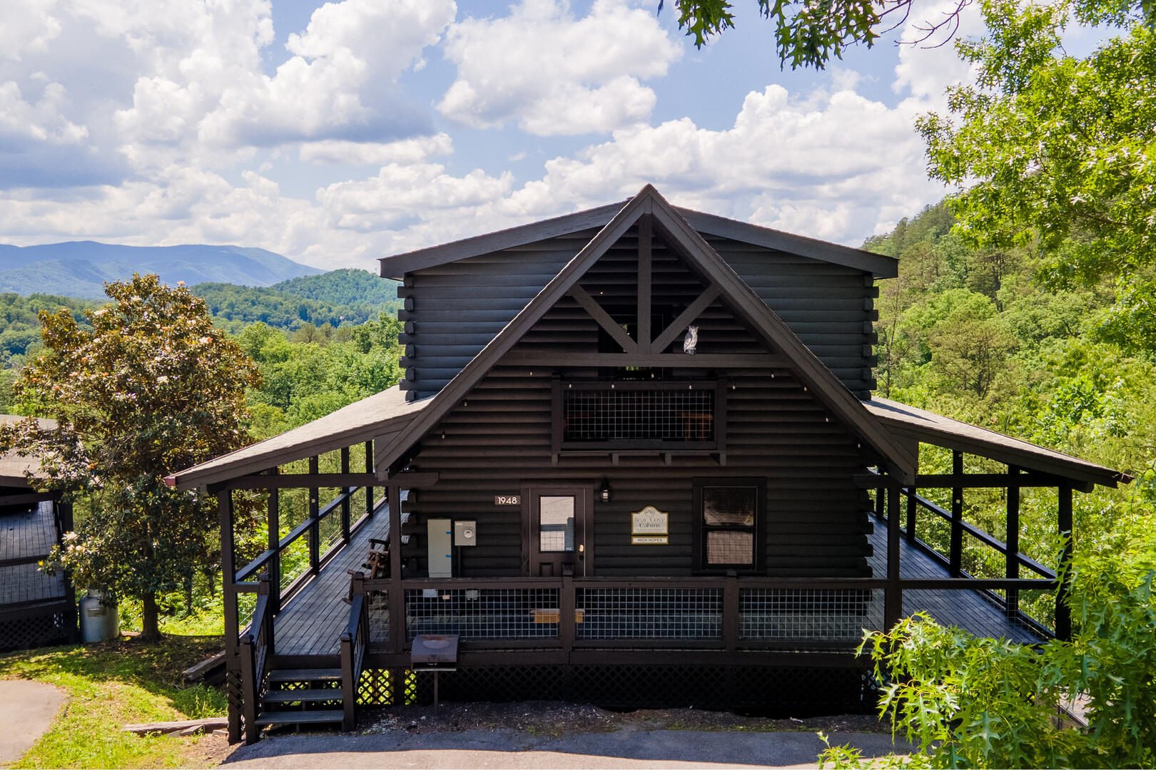 High Hopes | Photo 600