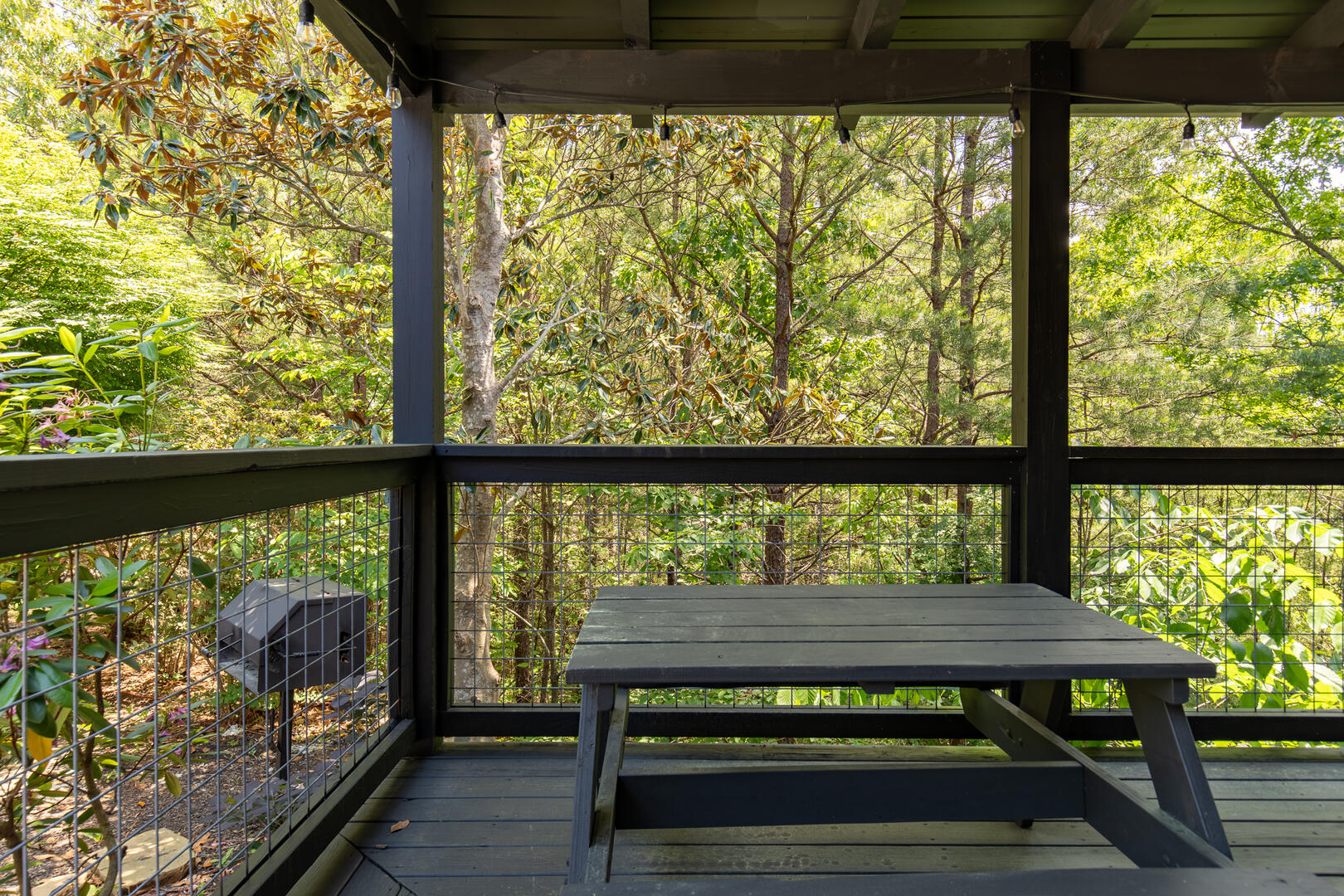 High Hopes | Photo 483