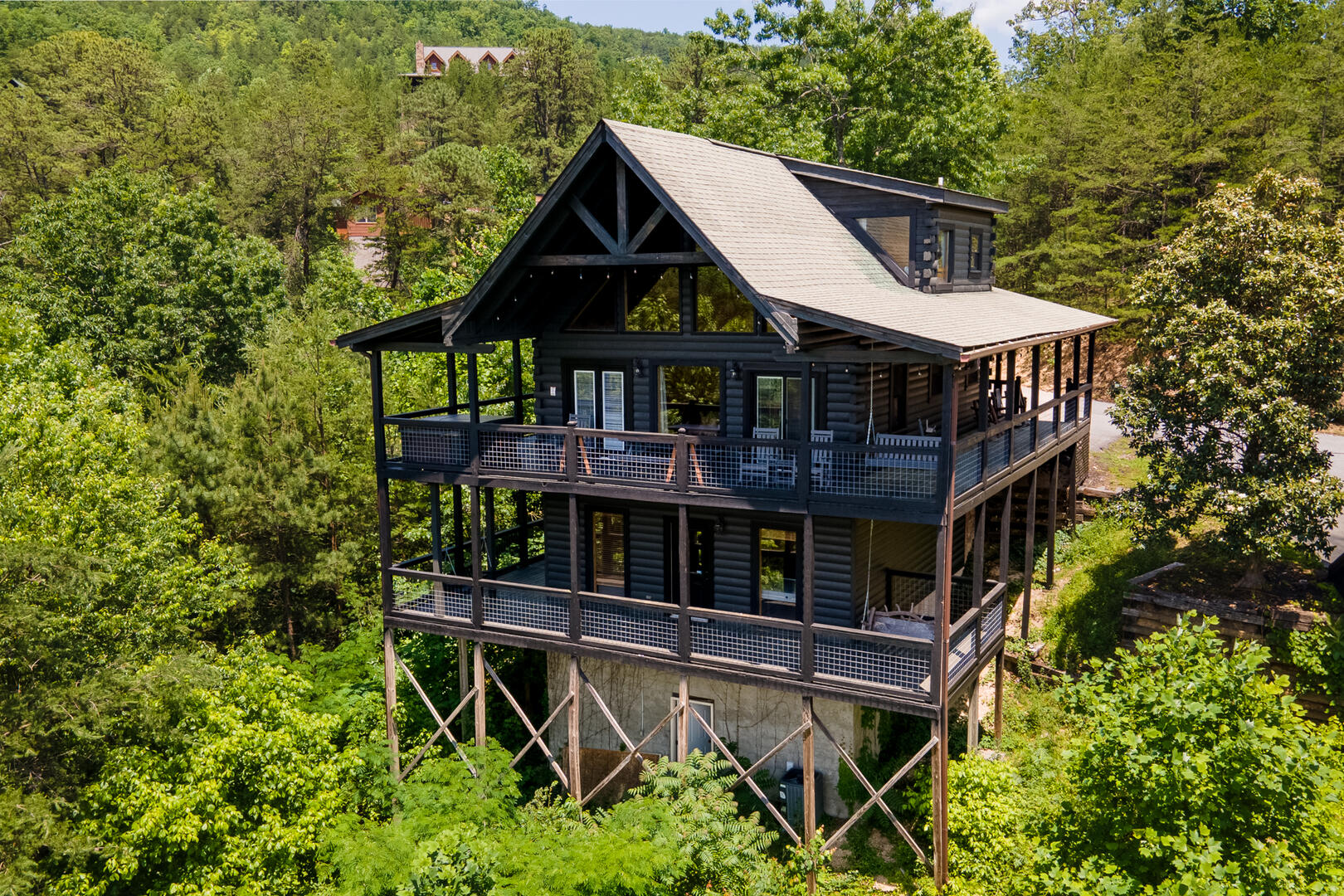 High Hopes | Photo 603