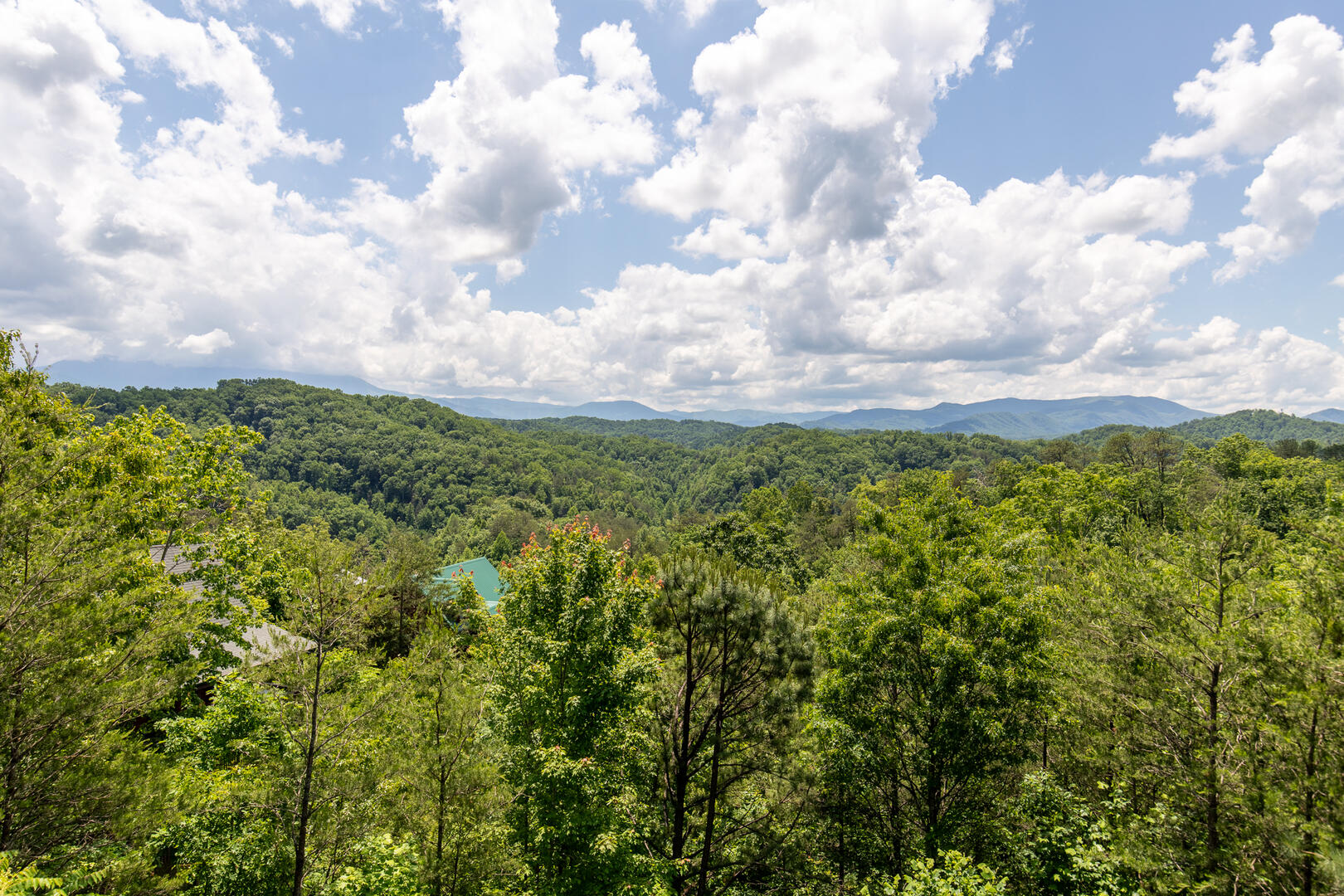 High Hopes | Photo 609