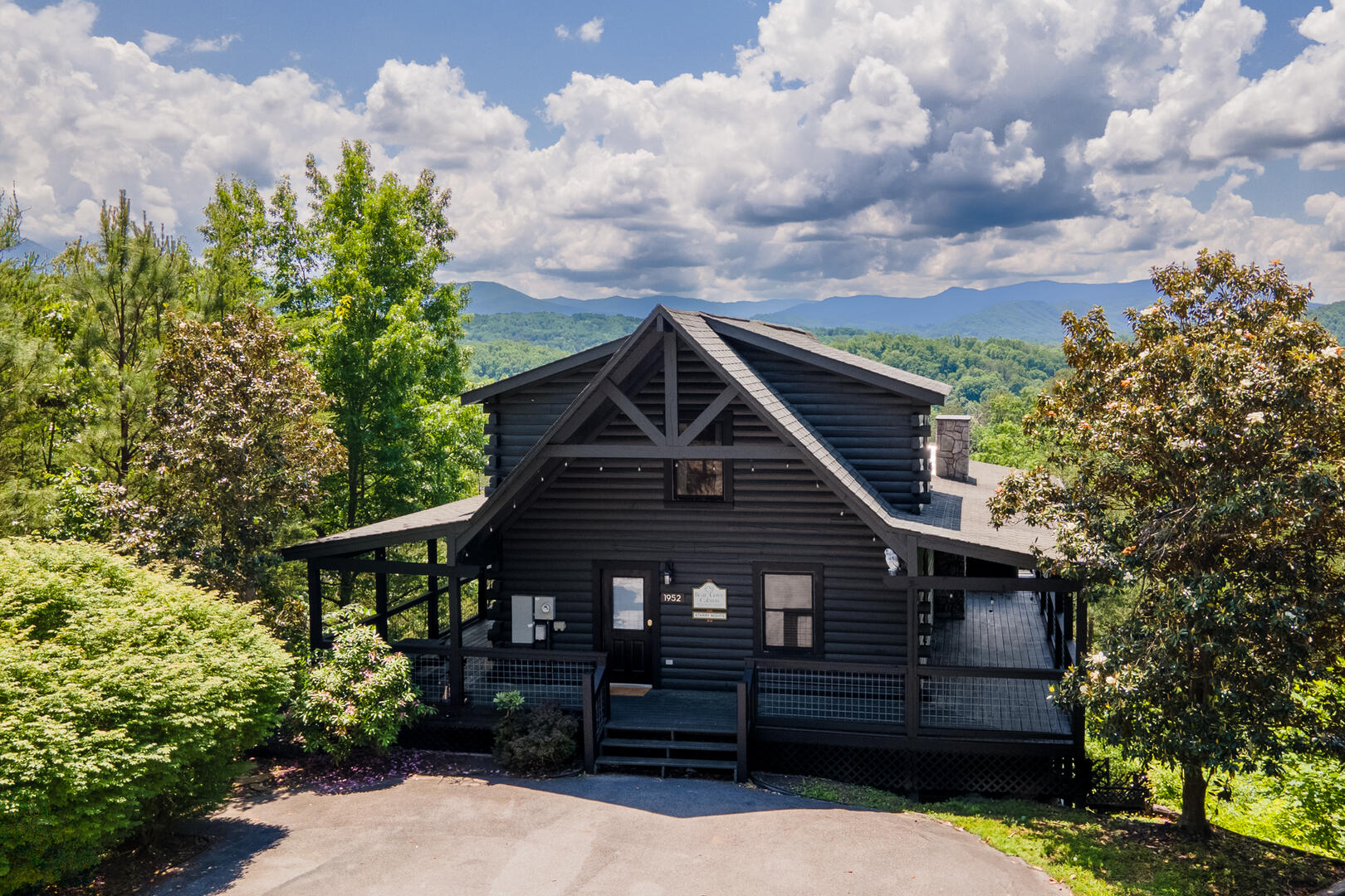 Starry Nights | Photo 27