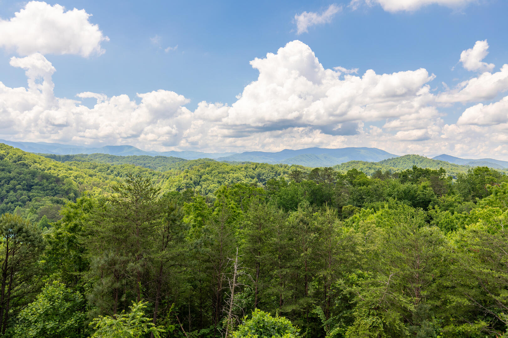 Starry Nights | Photo 38