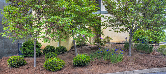 Mountain View Condo 1501 | Photo 32