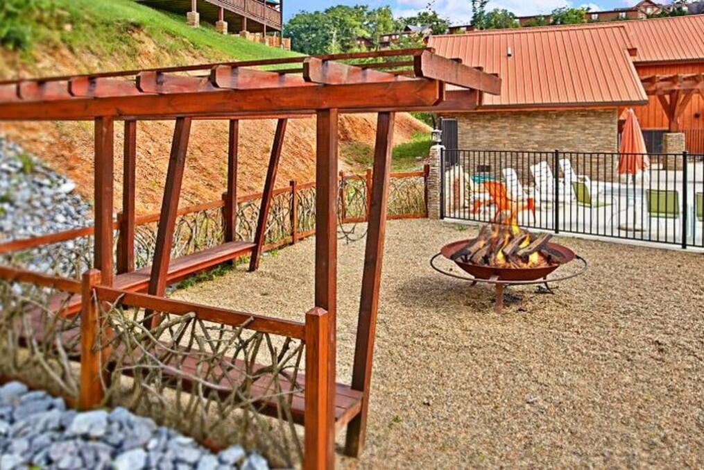 All Bear Paws | Photo 150