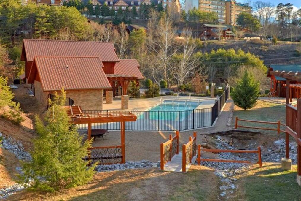 All Bear Paws | Photo 170