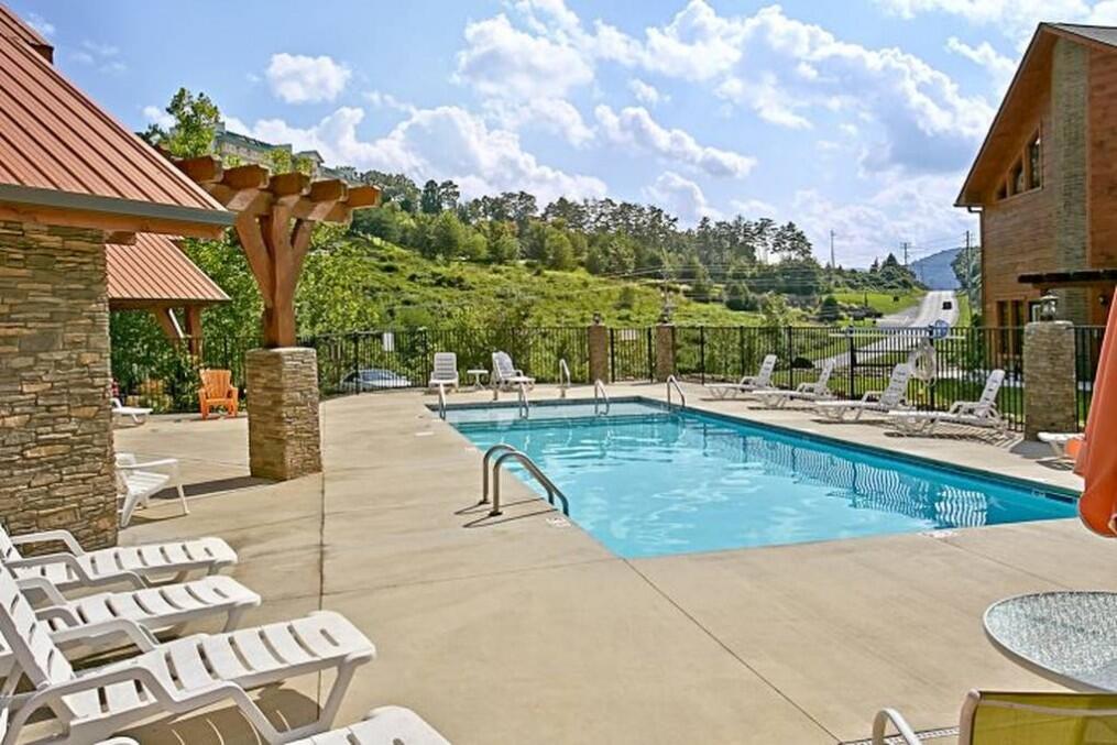 All Bear Paws | Photo 190