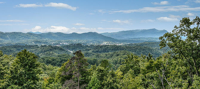 Over the Moon | Photo 503