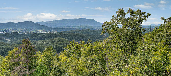 Over the Moon | Photo 505