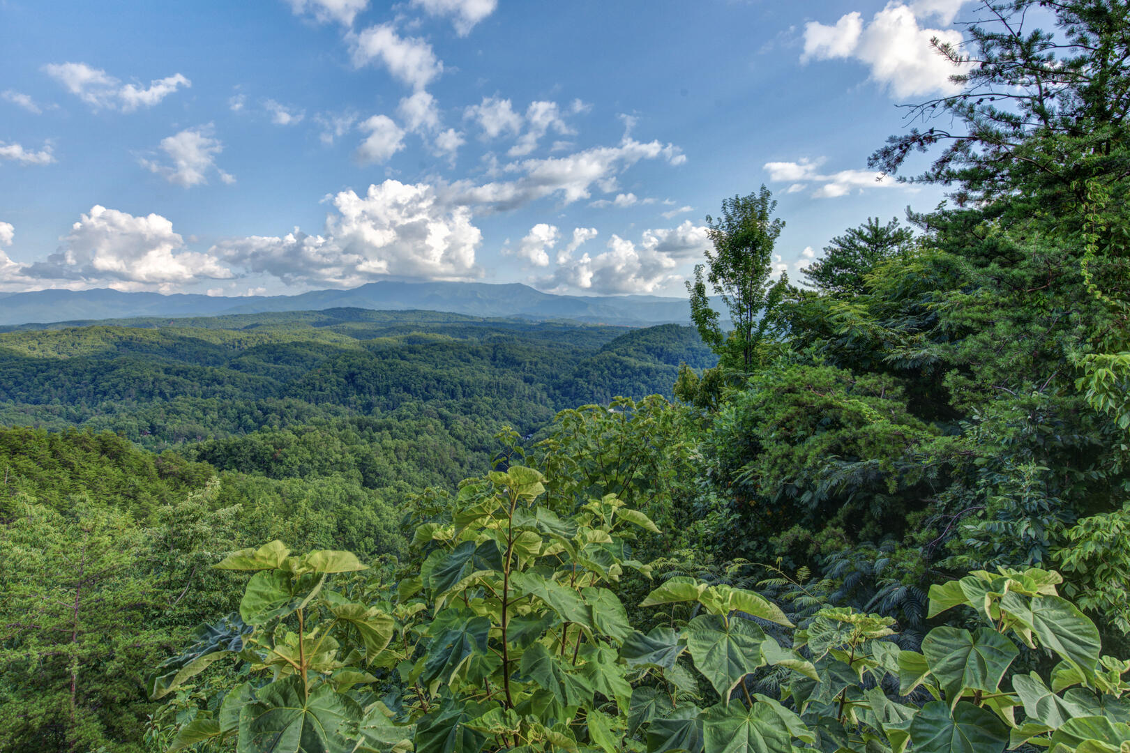 Beverly's Bearadise (4) | Photo 21