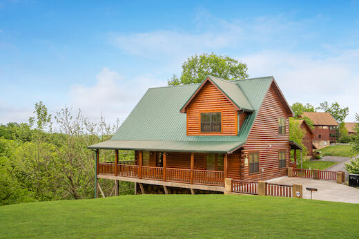 Bearly Chocolate (4) | Photo 150