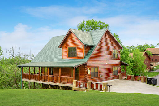 Bearly Chocolate (4) | Photo 180