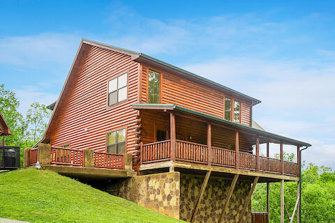 Bearly Chocolate (4) | Photo 510