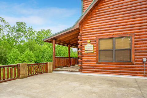 Bearly Chocolate (4) | Photo 520