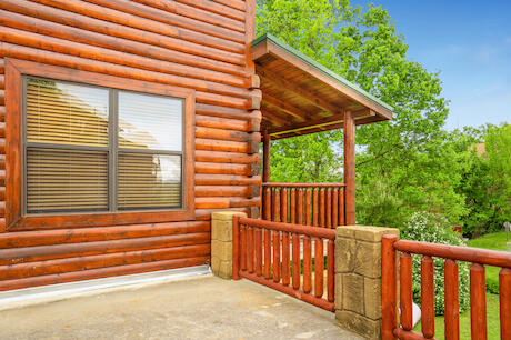 Bearly Chocolate (4) | Photo 530