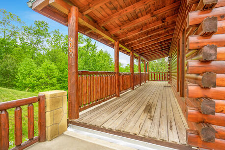 Bearly Chocolate (4) | Photo 540