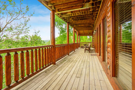 Bearly Chocolate (4) | Photo 550