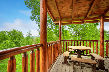 Bearly Chocolate (4) | Photo 580