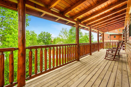 Bearly Chocolate (4) | Photo 590