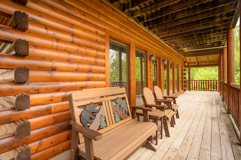 Bearly Chocolate (4) | Photo 650