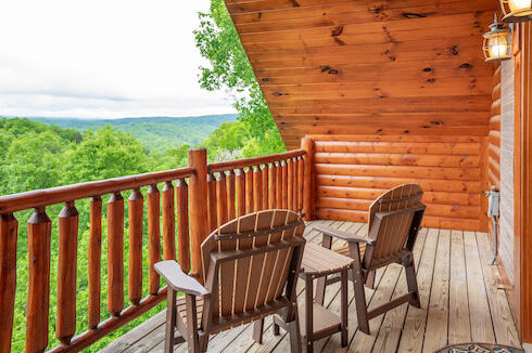 Bearly Chocolate (4) | Photo 880