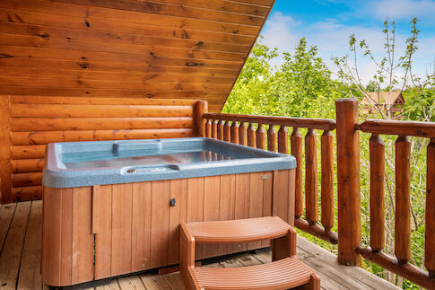 Bearly Chocolate (4) | Photo 910