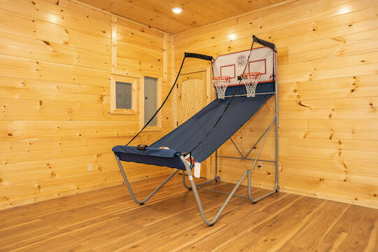 Bearly Chocolate (4) | Photo 360